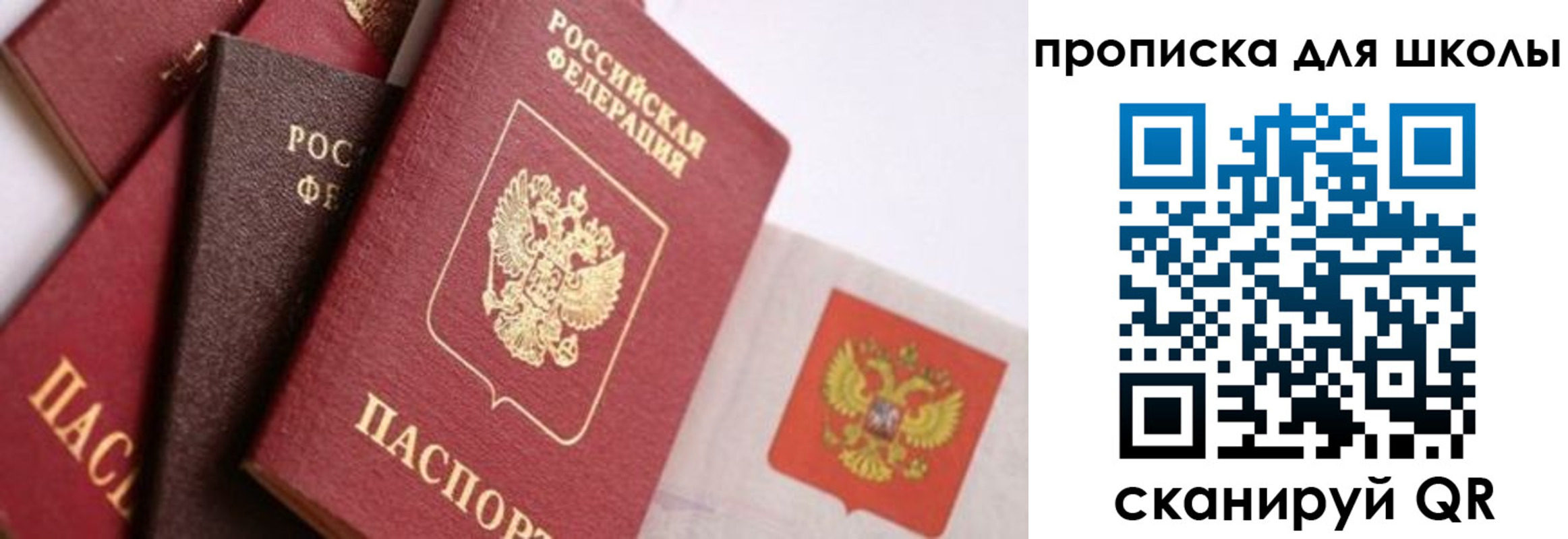 прописка поиск в Новоалтайске